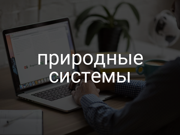 Природные системы
