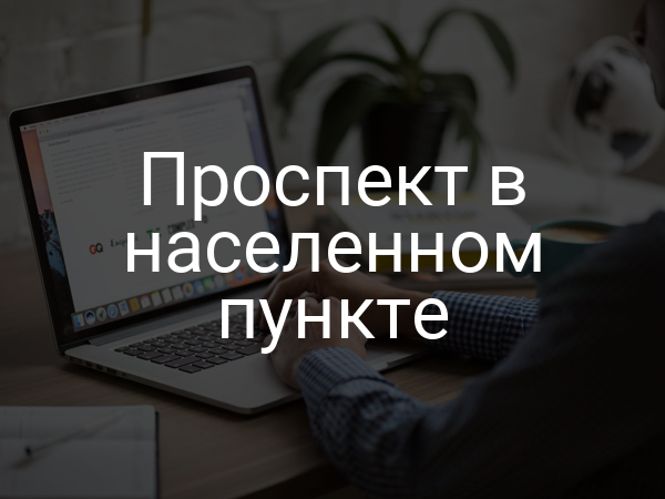 Проспект в населенном пункте