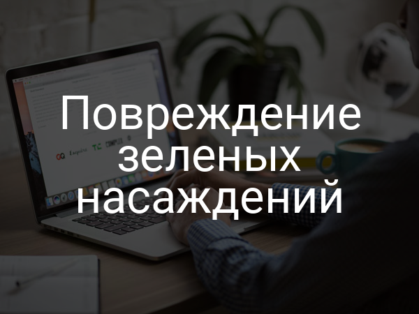 Повреждение зеленых насаждений