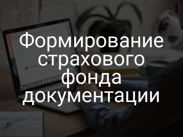 Формирование страхового фонда документации