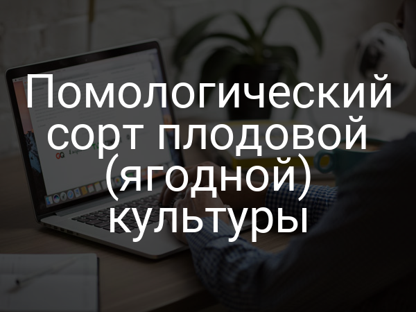 Помологический сорт плодовой (ягодной) культуры