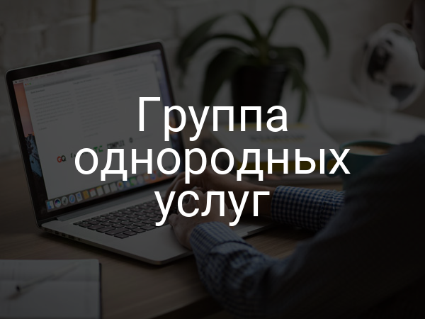 Группа однородных услуг