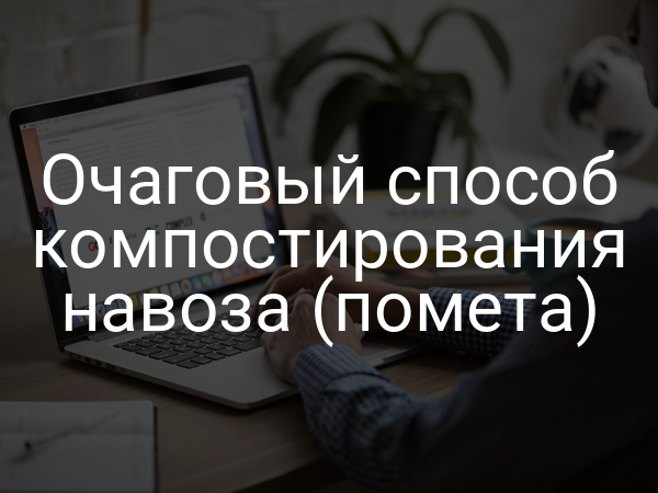 Очаговый способ компостирования навоза (помета)