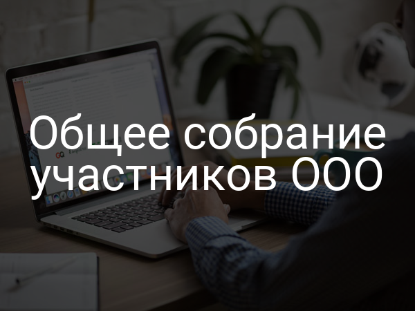 Общее собрание участников ООО