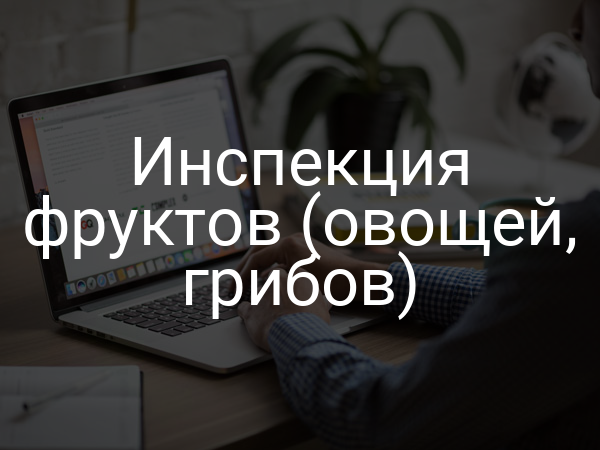 Инспекция фруктов (овощей, грибов)