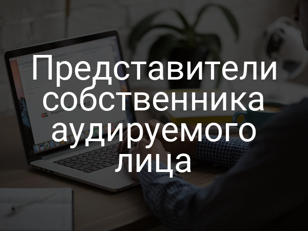 Представители собственника аудируемого лица