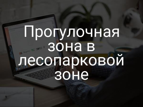 Прогулочная зона в лесопарковой зоне