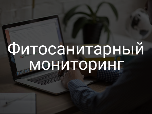 Фитосанитарный мониторинг