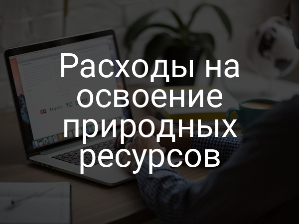 Расходы на освоение природных ресурсов