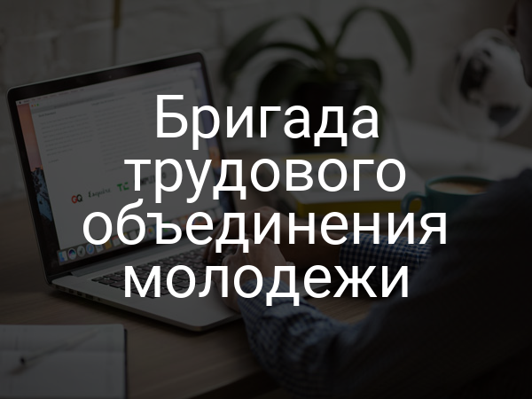 Бригада трудового объединения молодежи