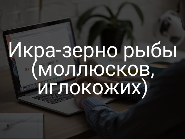 Икра-зерно рыбы (моллюсков, иглокожих)