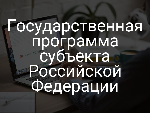 Государственная программа субъекта Российской Федерации