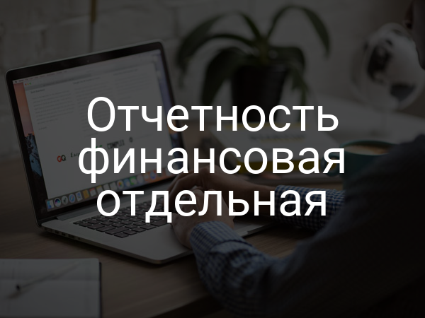 Отчетность финансовая отдельная