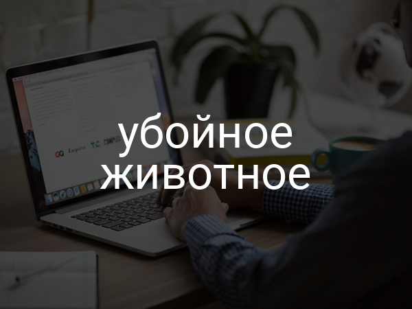 Убойное животное