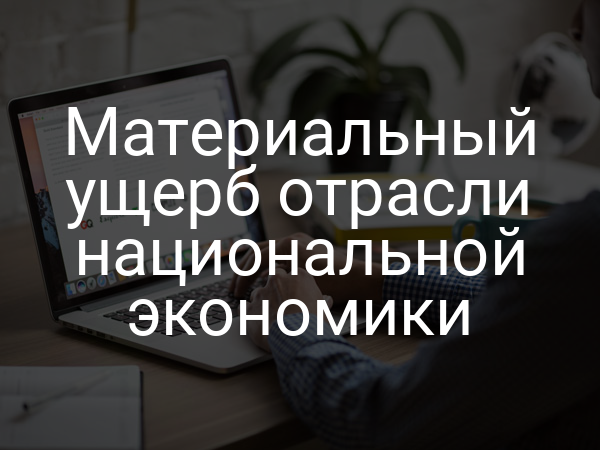 Материальный ущерб отрасли национальной экономики