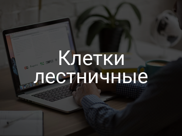 Клетки лестничные