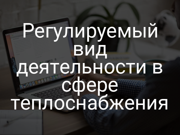Регулируемый вид деятельности в сфере теплоснабжения