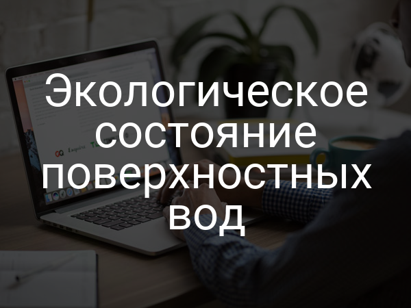 Экологическое состояние поверхностных вод