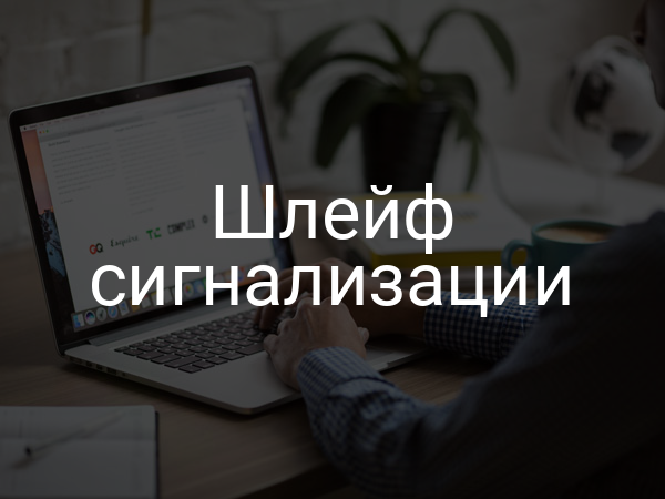 Шлейф сигнализации