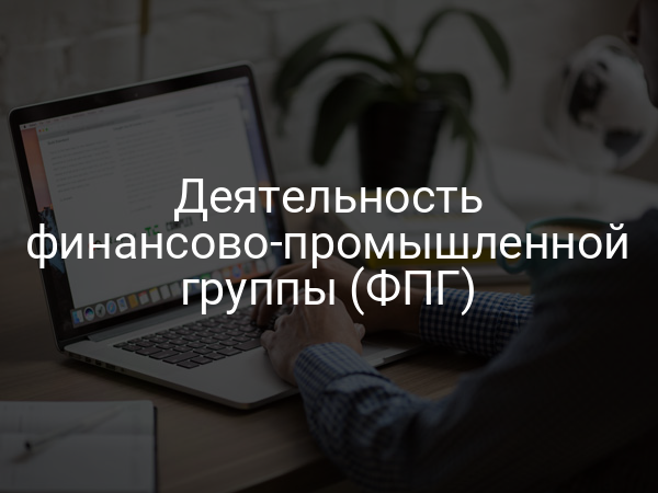 Деятельность финансово-промышленной группы (ФПГ)