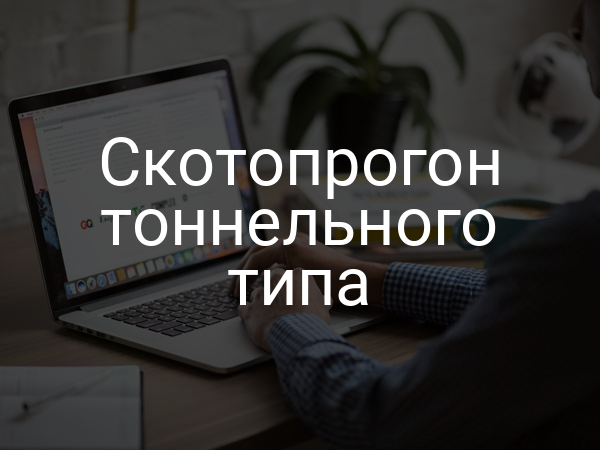 Скотопрогон тоннельного типа
