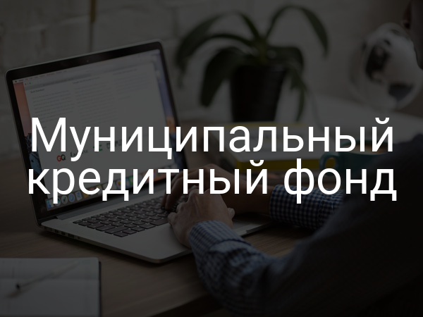 Муниципальный кредитный фонд