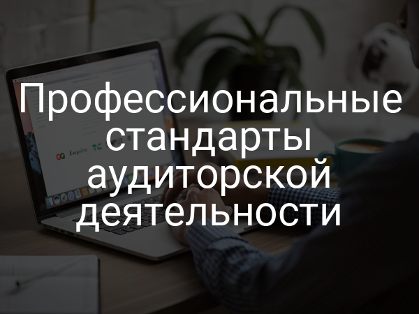 Профессиональные стандарты аудиторской деятельности