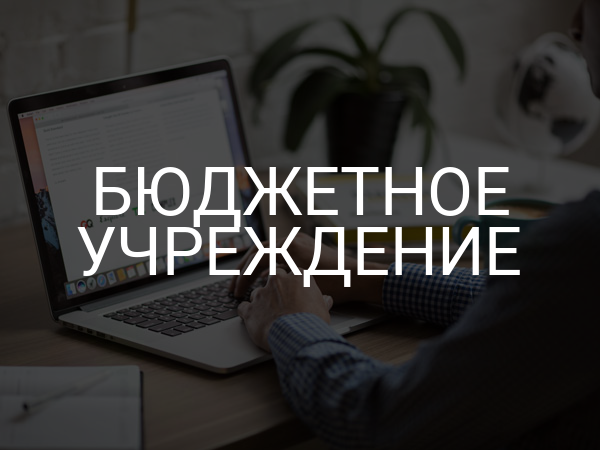 Бюджетное учреждение