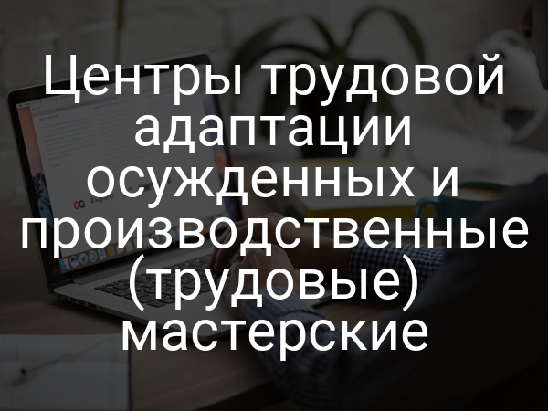 Центры трудовой адаптации осужденных и производственные (трудовые) мастерские