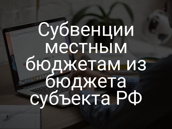 Субвенции местным бюджетам из бюджета субъекта РФ