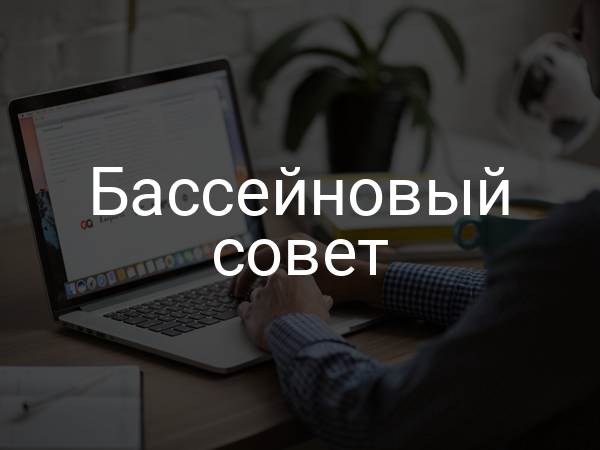 Бассейновый совет