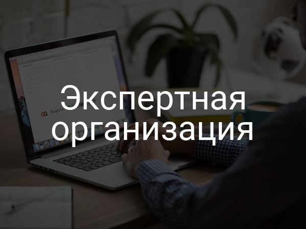 Экспертная организация