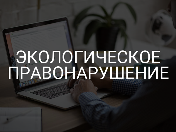 Экологическое правонарушение