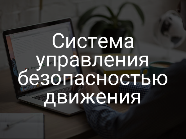 Система управления безопасностью движения