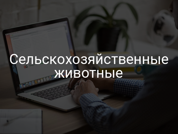 Сельскохозяйственные животные