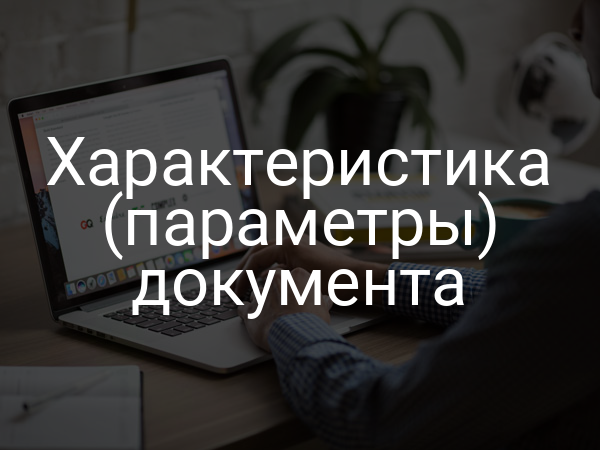 Характеристика (параметры) документа