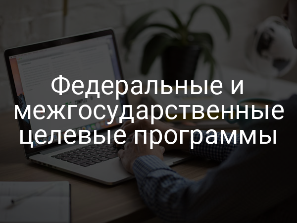 Федеральные и межгосударственные целевые программы