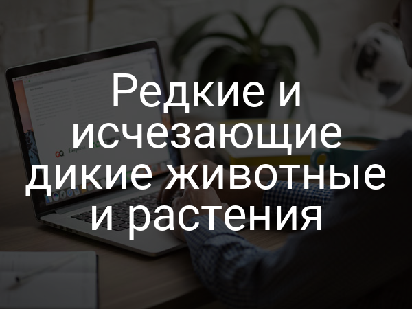 Редкие и исчезающие дикие животные и растения