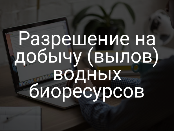 Разрешение на добычу (вылов) водных биоресурсов