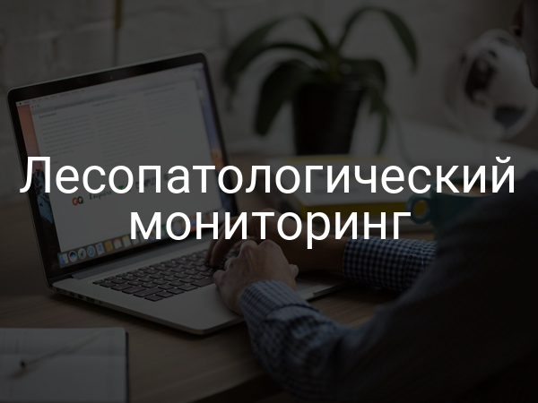 Лесопатологический мониторинг
