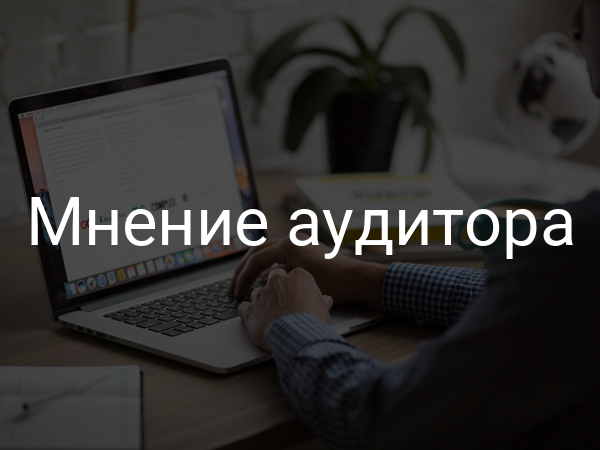 Мнение аудитора