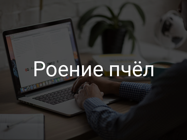 Роение пчел