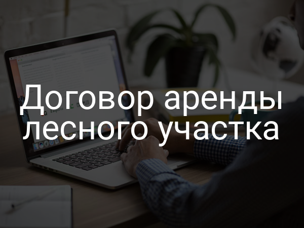 Договор аренды лесного участка