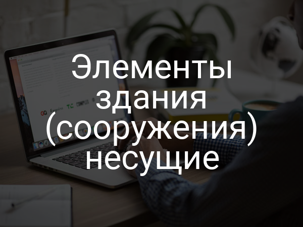 Элементы здания (сооружения) несущие