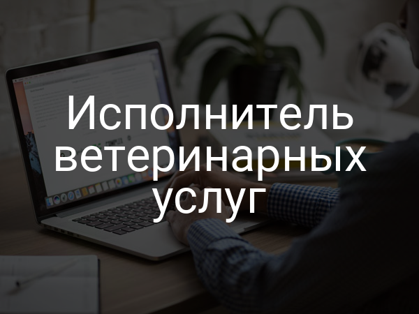 Исполнитель ветеринарных услуг