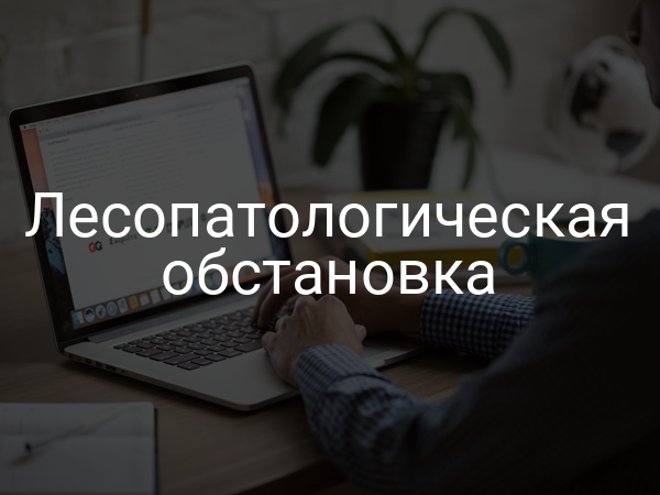 Лесопатологическая обстановка