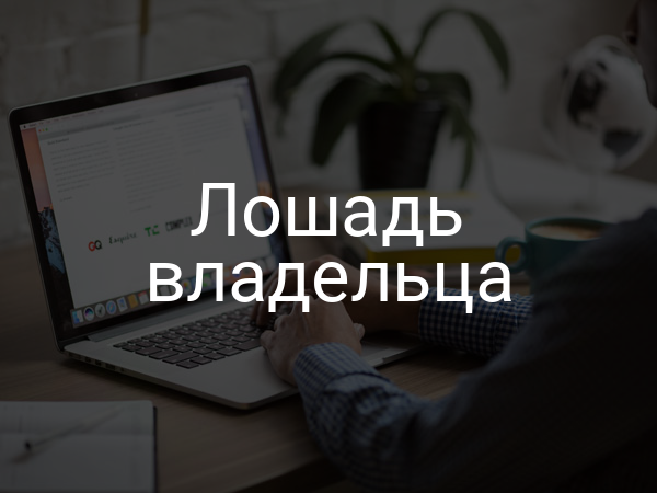 Лошадь владельца