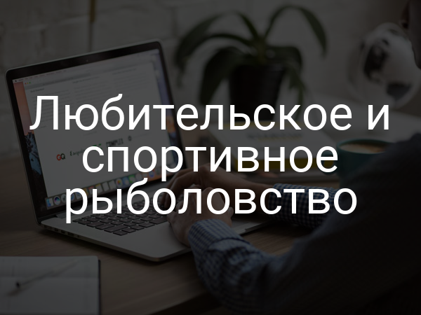 Любительское и спортивное рыболовство