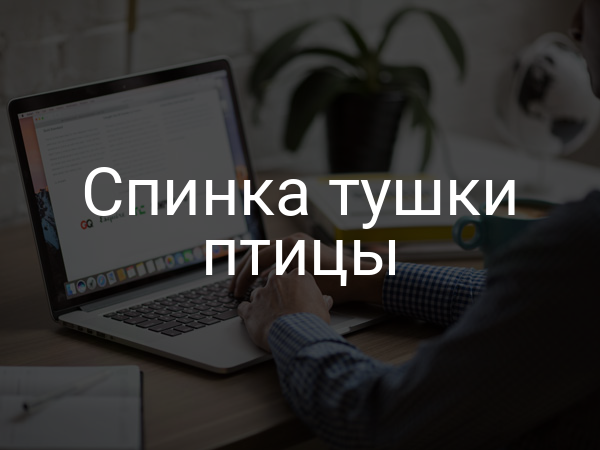 Спинка тушки птицы