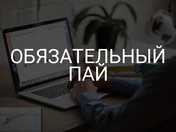 Обязательный пай